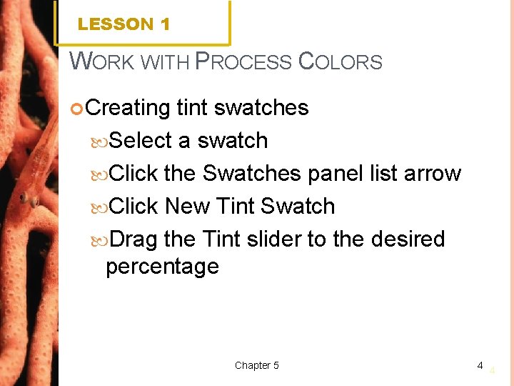 LESSON 1 WORK WITH PROCESS COLORS Creating tint swatches Select a swatch Click the