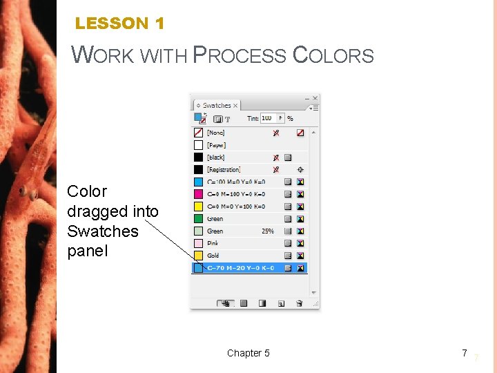 LESSON 1 WORK WITH PROCESS COLORS Color dragged into Swatches panel Chapter 5 7