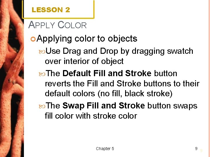 LESSON 2 APPLY COLOR Applying color to objects Use Drag and Drop by dragging