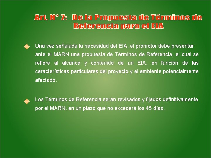 Una vez señalada la necesidad del EIA, el promotor debe presentar ante el MARN