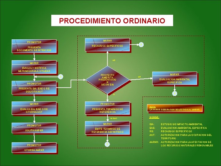 PROCEDIMIENTO ORDINARIO MARNR PROMOTOR RECAUDOS ESPECIFICOS PRESENTA DOCUMENTO DE INTENCION NO MARNR EVALUA Y