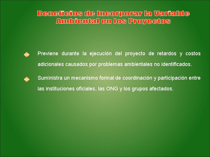 Previene durante la ejecución del proyecto de retardos y costos adicionales causados por problemas