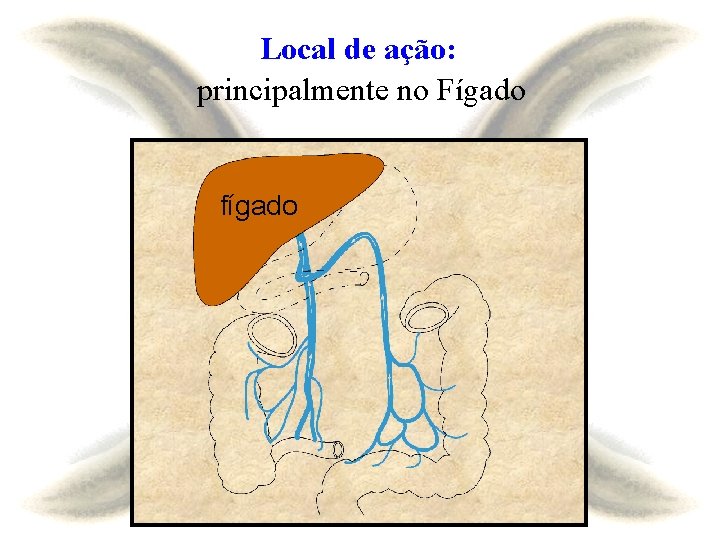 Local de ação: principalmente no Fígado fígado 