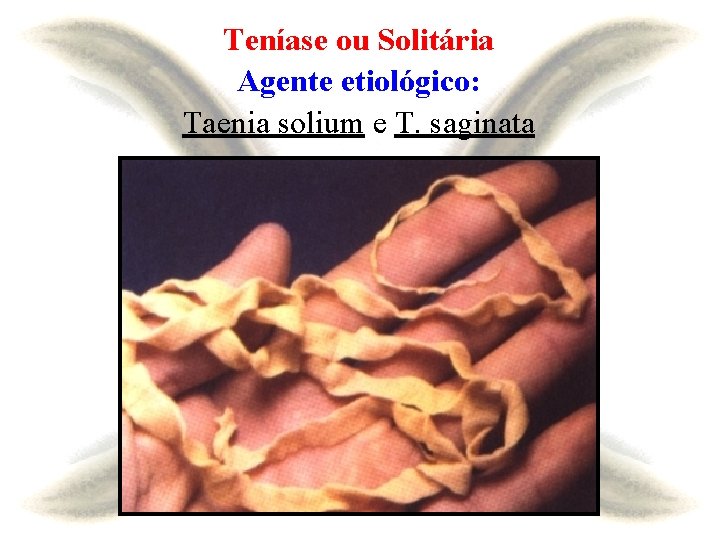 Teníase ou Solitária Agente etiológico: Taenia solium e T. saginata 