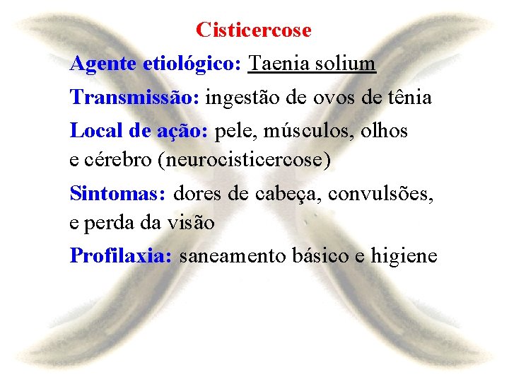 Cisticercose Agente etiológico: Taenia solium Transmissão: ingestão de ovos de tênia Local de ação:
