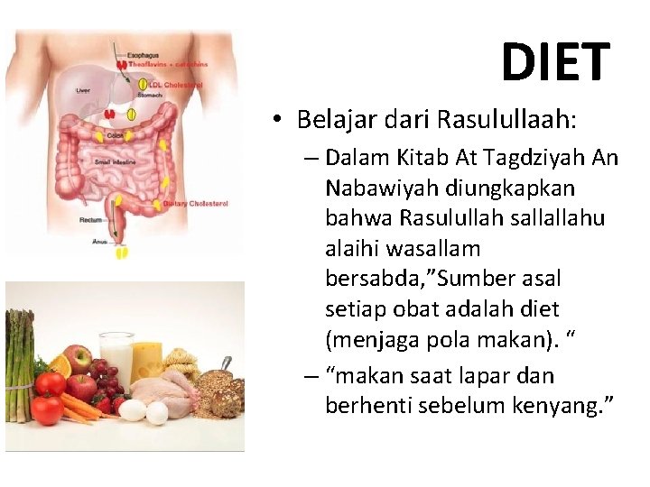 DIET • Belajar dari Rasulullaah: – Dalam Kitab At Tagdziyah An Nabawiyah diungkapkan bahwa