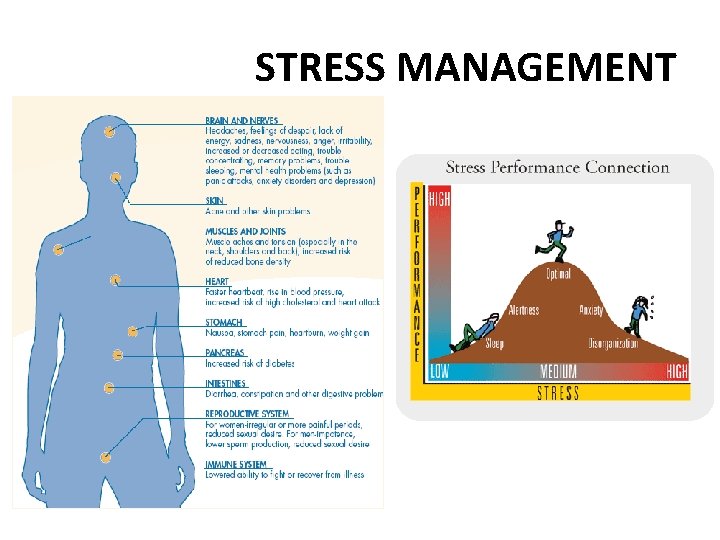STRESS MANAGEMENT 