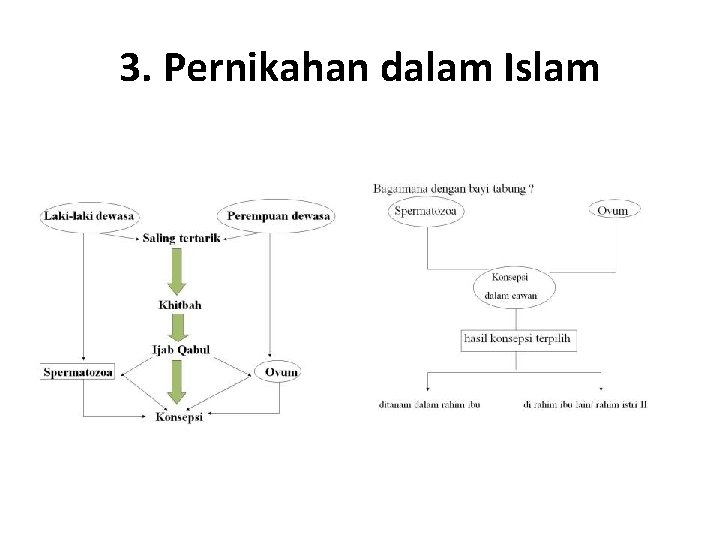 3. Pernikahan dalam Islam 