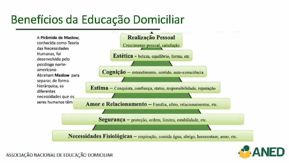 Benefícios da Educação Domiciliar 