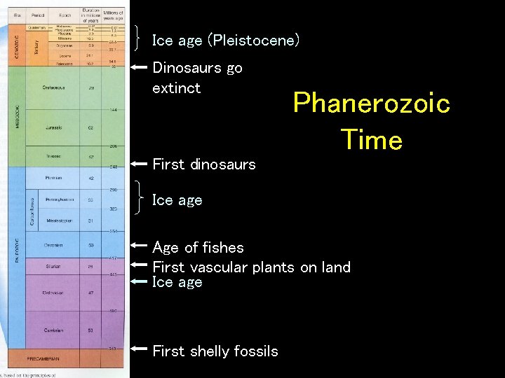 Ice age (Pleistocene) Dinosaurs go extinct Phanerozoic Time First dinosaurs Ice age Age of