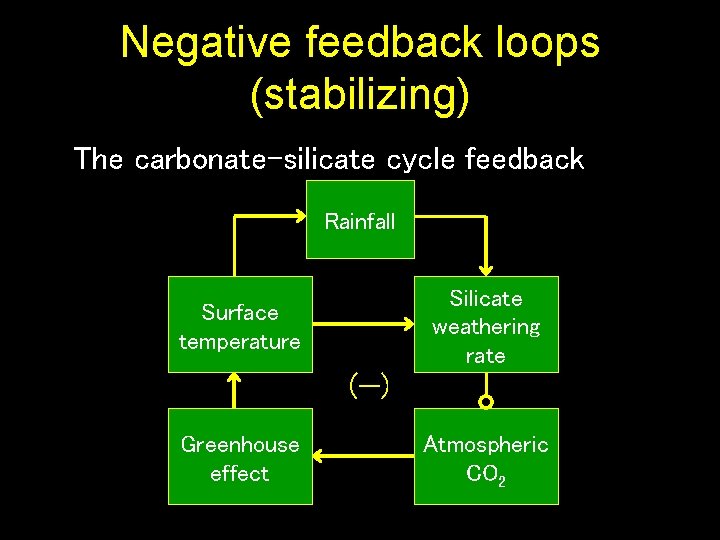 Negative feedback loops (stabilizing) The carbonate-silicate cycle feedback Rainfall Silicate weathering rate Surface temperature