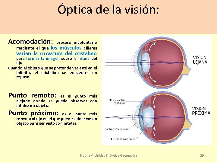 Óptica de la visión: Acomodación: proceso involuntario mediante el que los músculos ciliares varían