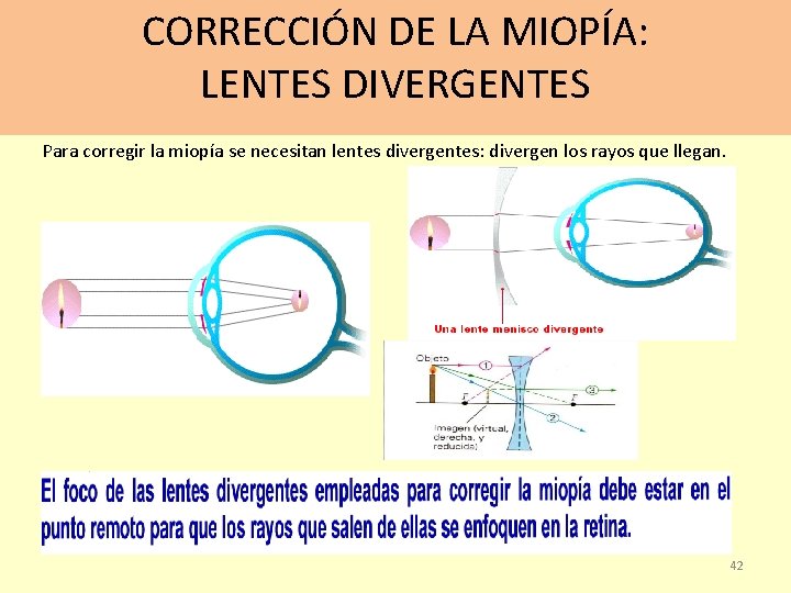 CORRECCIÓN DE LA MIOPÍA: LENTES DIVERGENTES Para corregir la miopía se necesitan lentes divergentes: