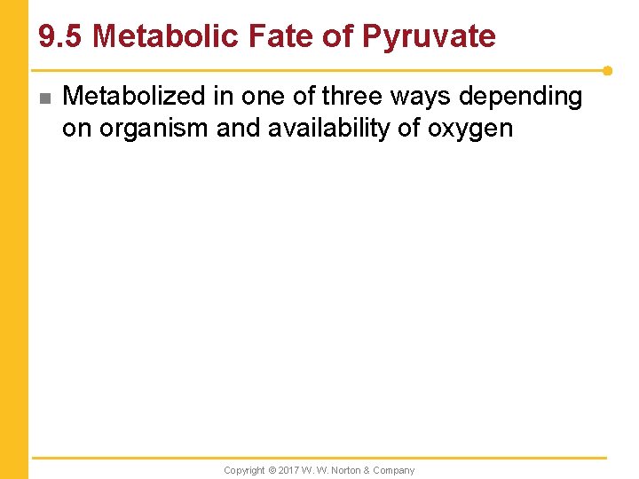 9. 5 Metabolic Fate of Pyruvate n Metabolized in one of three ways depending