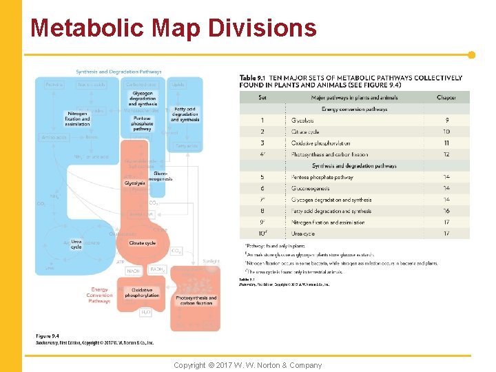 Metabolic Map Divisions Set Energy conversion pathways in plants and animals Chapter 1 Glycolysis