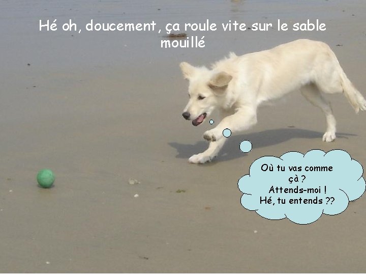 Hé oh, doucement, ça roule vite sur le sable mouillé Où tu vas comme