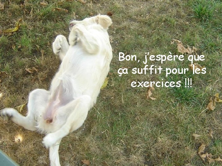 Bon, j’espère que ça suffit pour les exercices !!! 