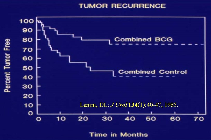 Lamm, DL: J Urol 134(1): 40 -47, 1985. 