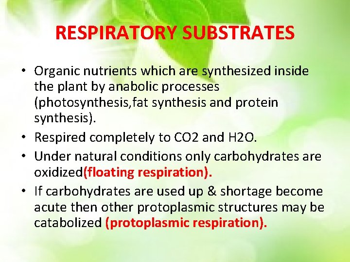 RESPIRATORY SUBSTRATES • Organic nutrients which are synthesized inside the plant by anabolic processes