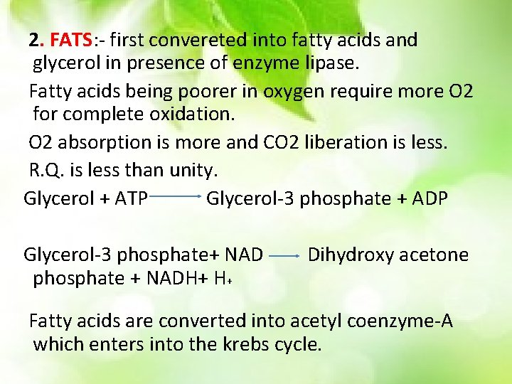 2. FATS: - first convereted into fatty acids and glycerol in presence of enzyme