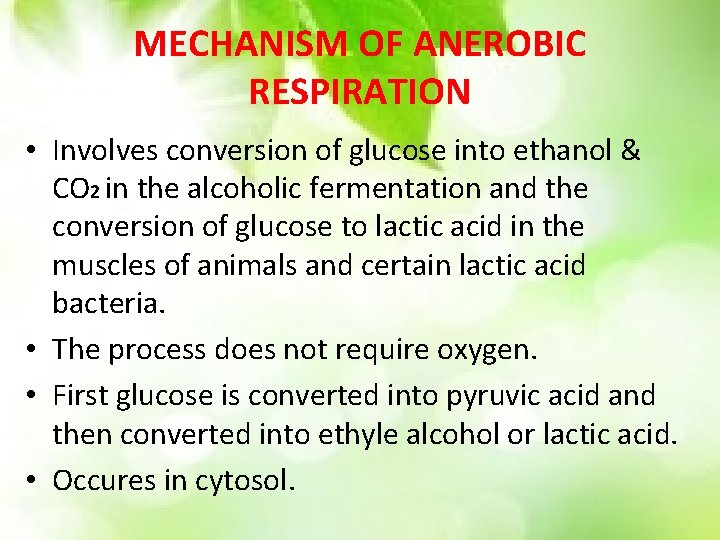 MECHANISM OF ANEROBIC RESPIRATION • Involves conversion of glucose into ethanol & CO 2