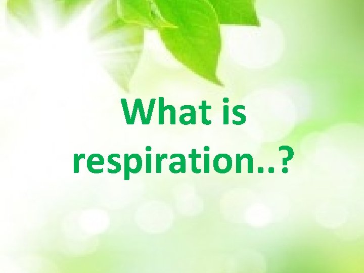 What is respiration. . ? 