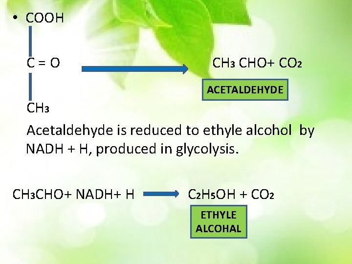 • COOH C=O CH 3 CHO+ CO 2 ACETALDEHYDE CH 3 Acetaldehyde is