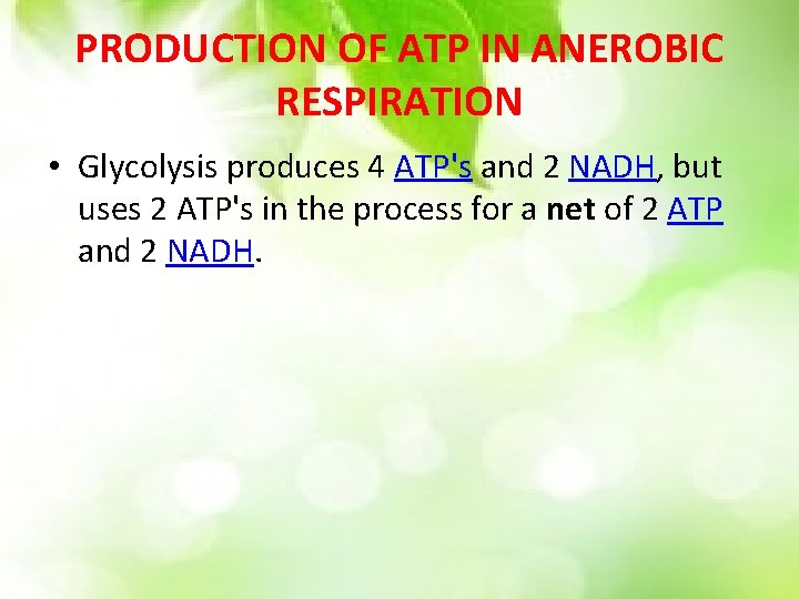 PRODUCTION OF ATP IN ANEROBIC RESPIRATION • Glycolysis produces 4 ATP's and 2 NADH,
