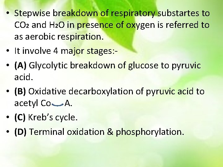  • Stepwise breakdown of respiratory substartes to CO 2 and H 2 O