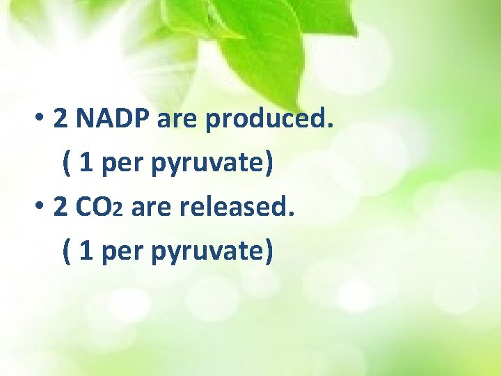  • 2 NADP are produced. ( 1 per pyruvate) • 2 CO 2