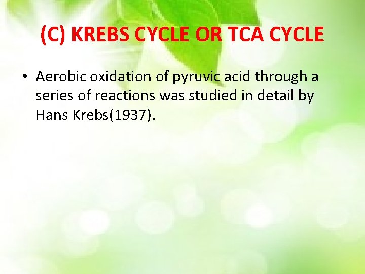 (C) KREBS CYCLE OR TCA CYCLE • Aerobic oxidation of pyruvic acid through a