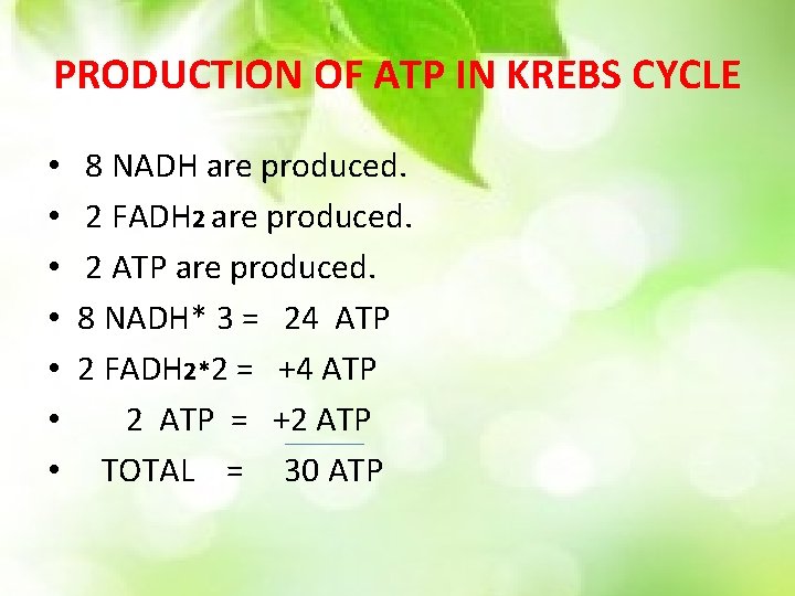 PRODUCTION OF ATP IN KREBS CYCLE • • 8 NADH are produced. 2 FADH