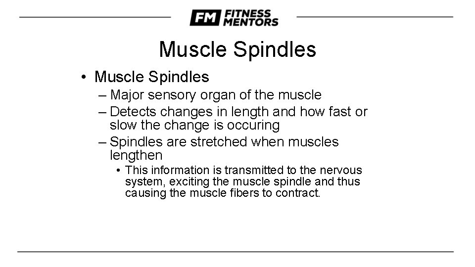 Muscle Spindles • Muscle Spindles – Major sensory organ of the muscle – Detects