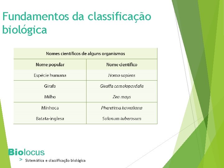 Fundamentos da classificação biológica Biolocus > Sistemática e classificação biológica 