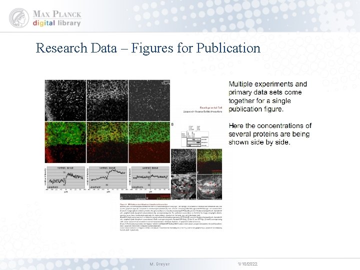 Research Data – Figures for Publication M. Dreyer 1/10/2022 