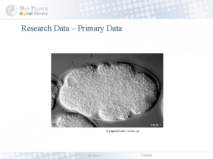 Research Data – Primary Data M. Dreyer 1/10/2022 