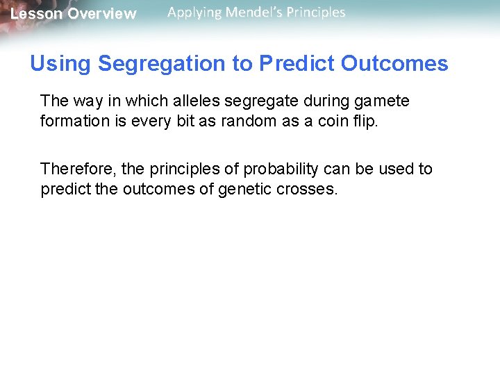 Lesson Overview Applying Mendel’s Principles Using Segregation to Predict Outcomes The way in which