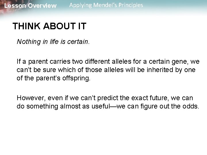 Lesson Overview Applying Mendel’s Principles THINK ABOUT IT Nothing in life is certain. If