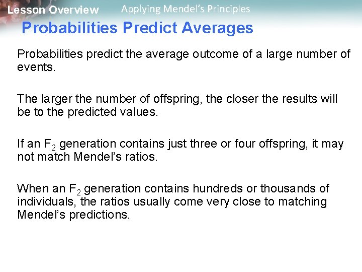Lesson Overview Applying Mendel’s Principles Probabilities Predict Averages Probabilities predict the average outcome of