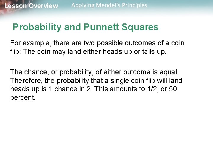 Lesson Overview Applying Mendel’s Principles Probability and Punnett Squares For example, there are two