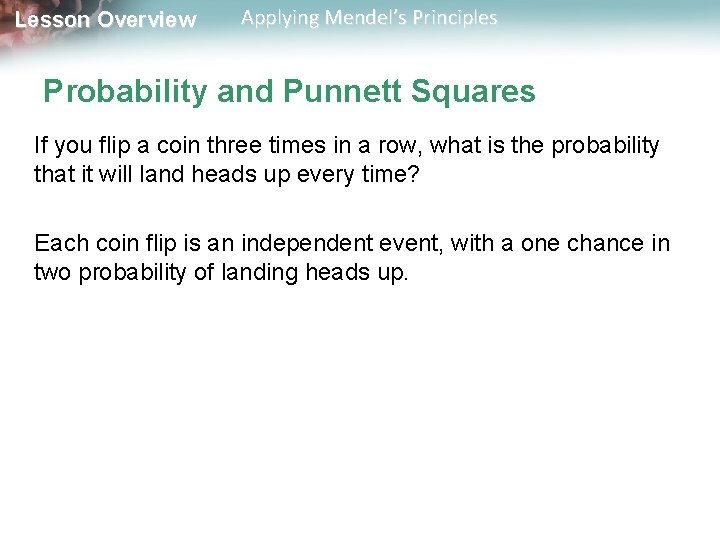 Lesson Overview Applying Mendel’s Principles Probability and Punnett Squares If you flip a coin