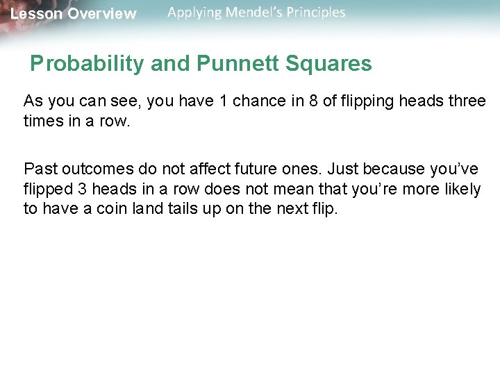 Lesson Overview Applying Mendel’s Principles Probability and Punnett Squares As you can see, you