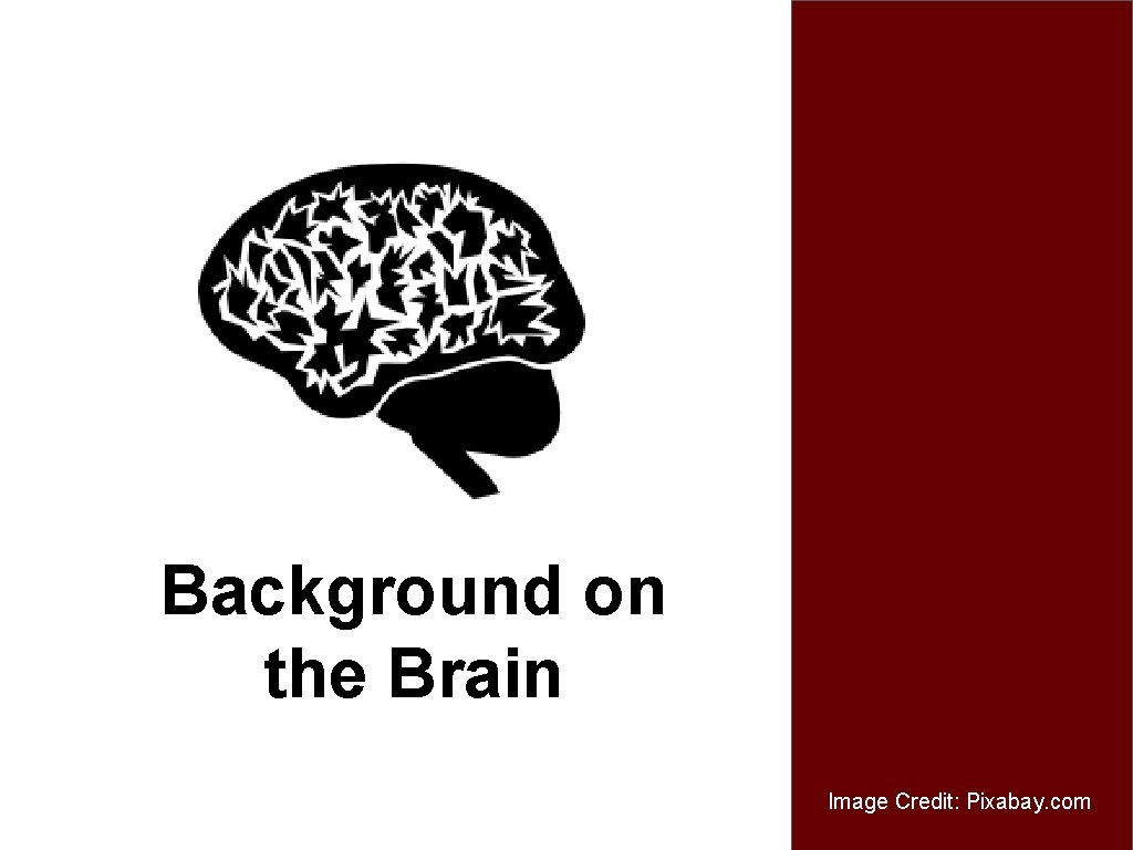 Background on the Brain Image Credit: Pixabay. com 
