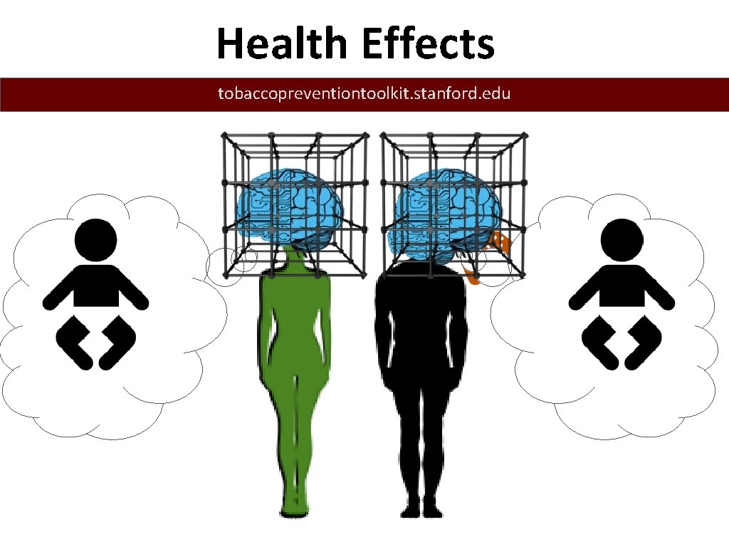 Health Effects tobaccopreventiontoolkit. stanford. edu 