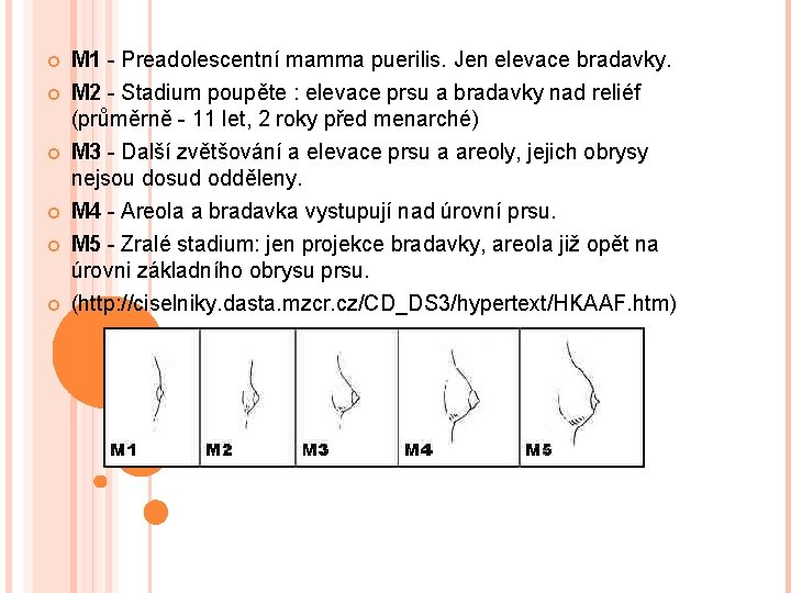  M 1 - Preadolescentní mamma puerilis. Jen elevace bradavky. M 2 - Stadium