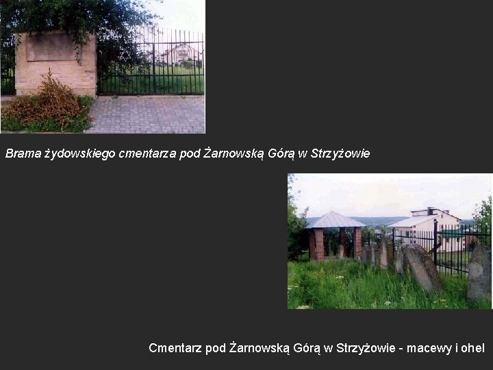 Brama żydowskiego cmentarza pod Żarnowską Górą w Strzyżowie Cmentarz pod Żarnowską Górą w Strzyżowie