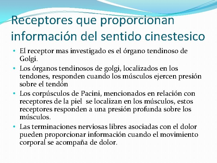 Receptores que proporcionan información del sentido cinestesico • El receptor mas investigado es el