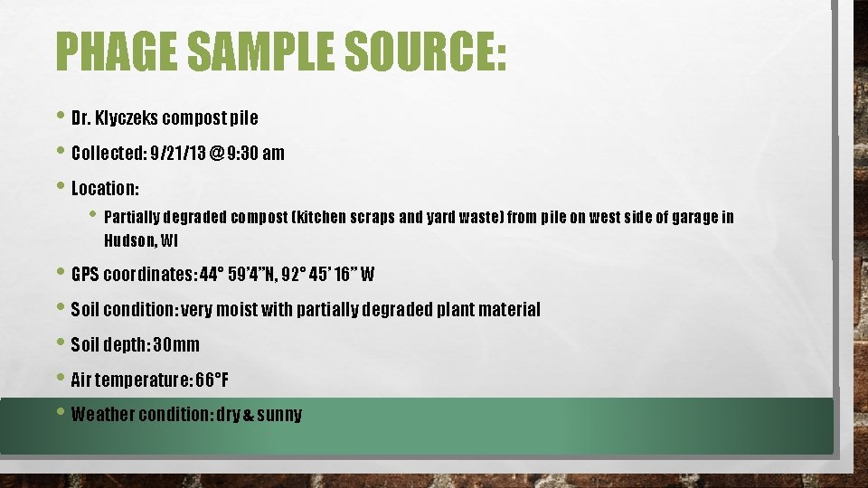 PHAGE SAMPLE SOURCE: • Dr. Klyczeks compost pile • Collected: 9/21/13 @ 9: 30