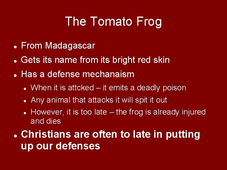 The Tomato Frog From Madagascar Gets its name from its bright red skin Has