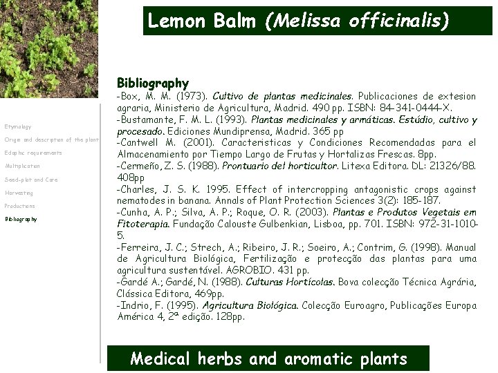 Lemon Balm (Melissa officinalis) Bibliography Etymology Origin and description of the plant Edaphic requirements